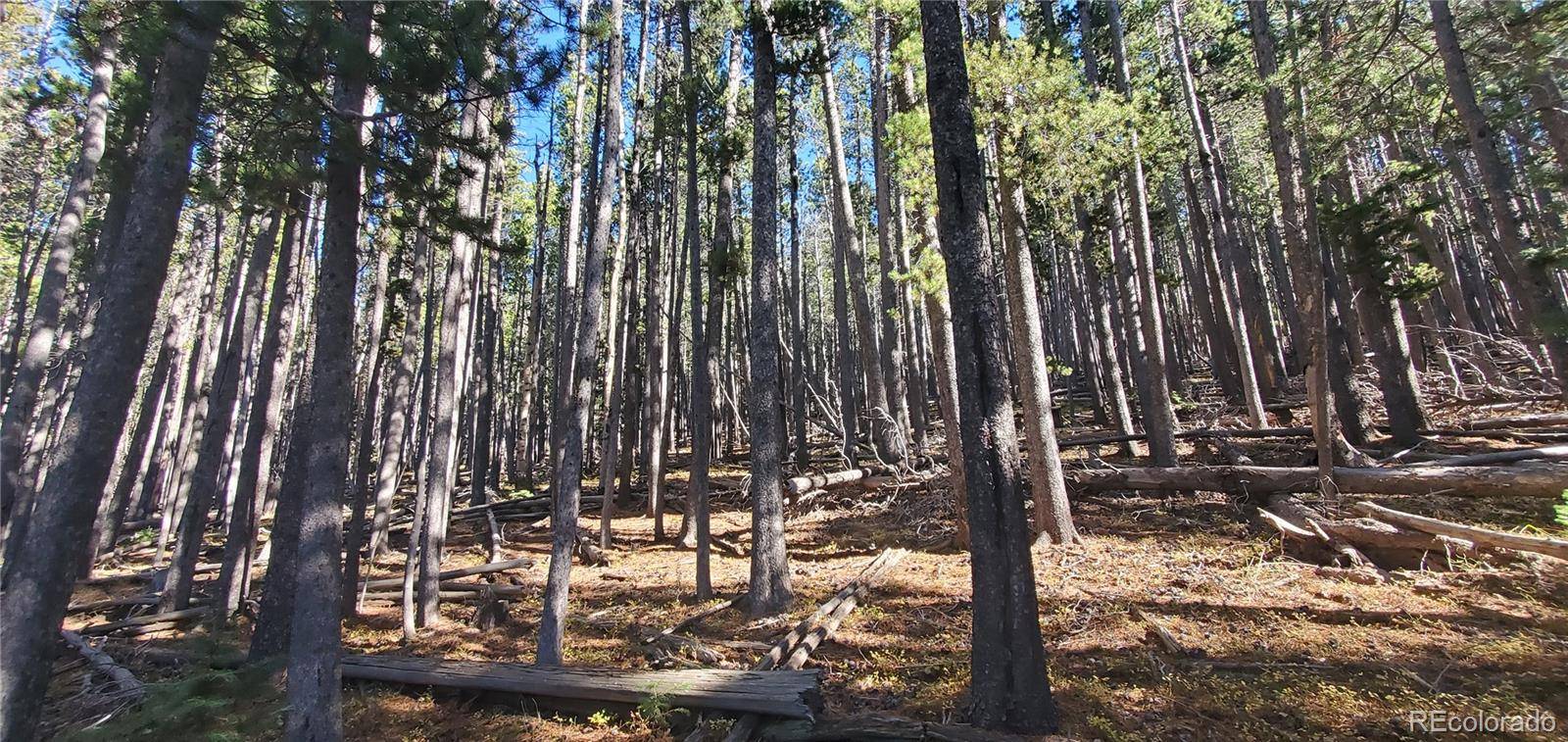Lot 2682 & 2683 Purnell LN, Fort Garland, CO 81133
