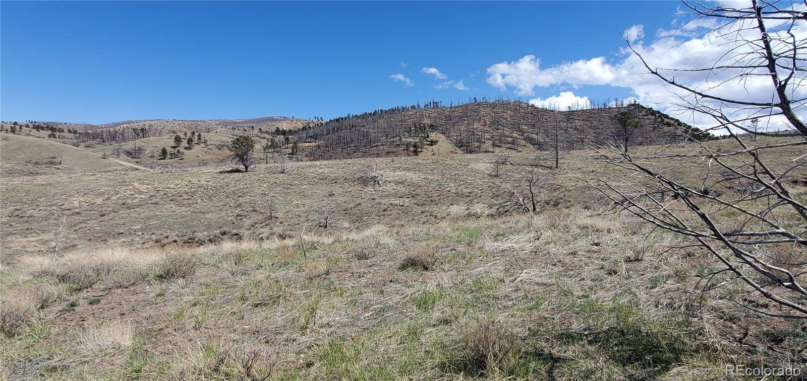 Lot 7698 Marie RD, Fort Garland, CO 81133