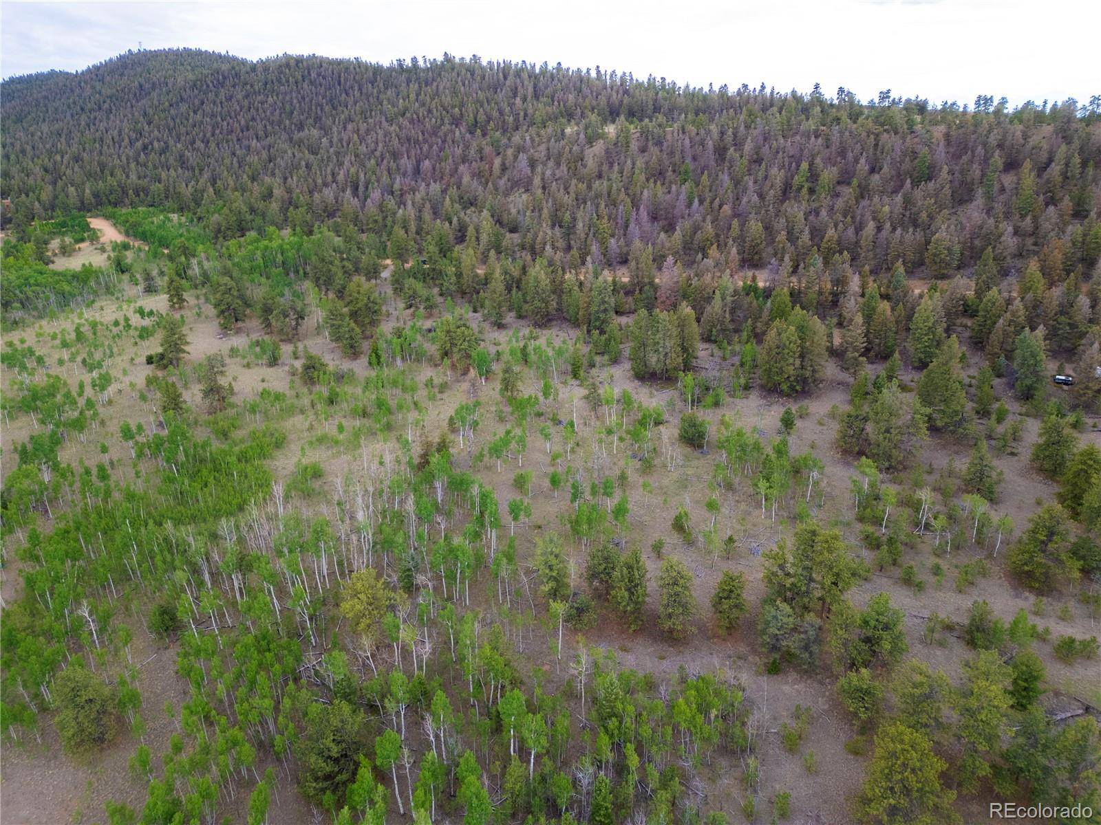2396 Fitzsimmons RD, Hartsel, CO 80449
