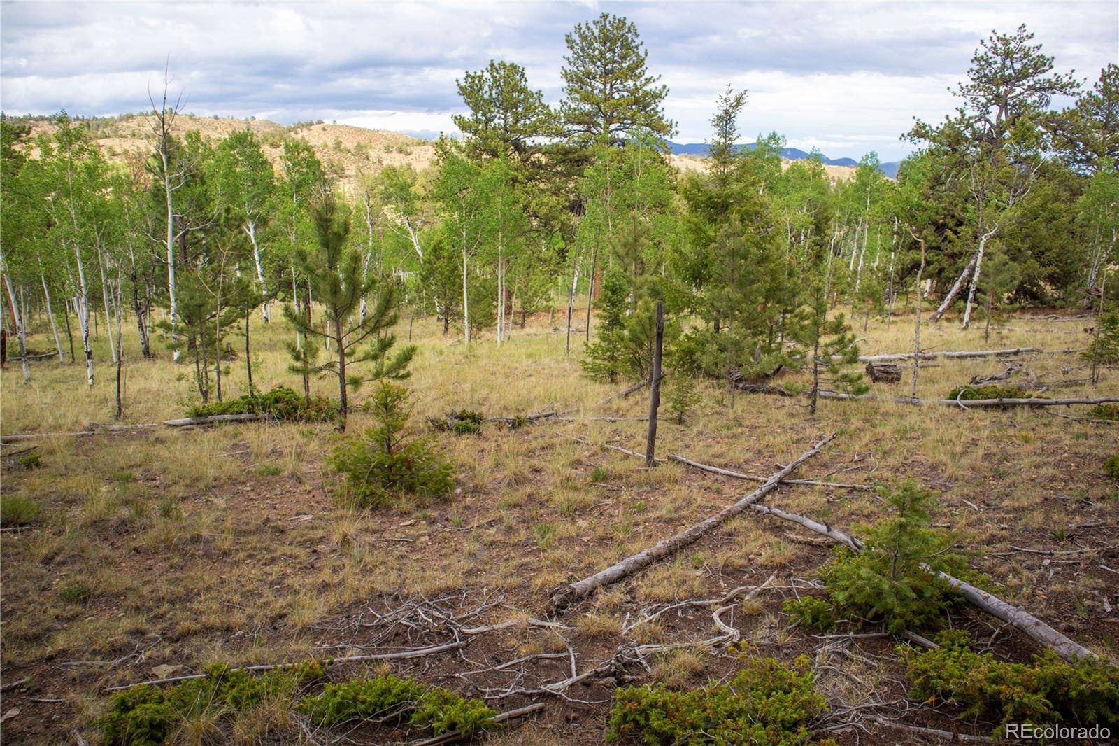 2396 Fitzsimmons RD, Hartsel, CO 80449