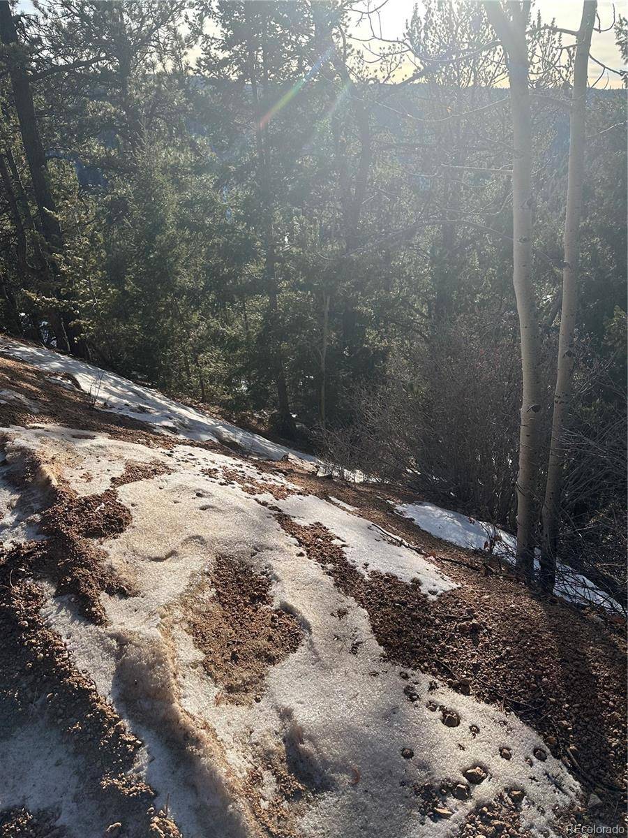 1600 Pikes Peak DR, Divide, CO 80814