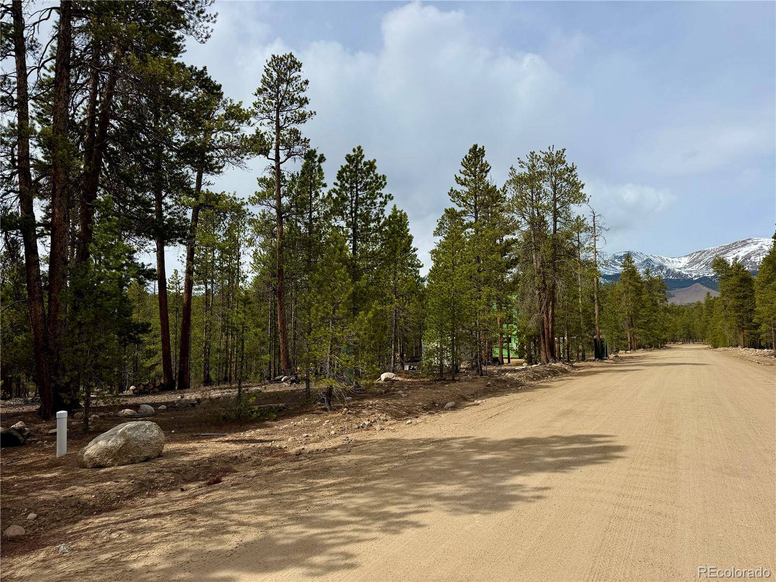 360 Peak View DR, Leadville, CO 80461