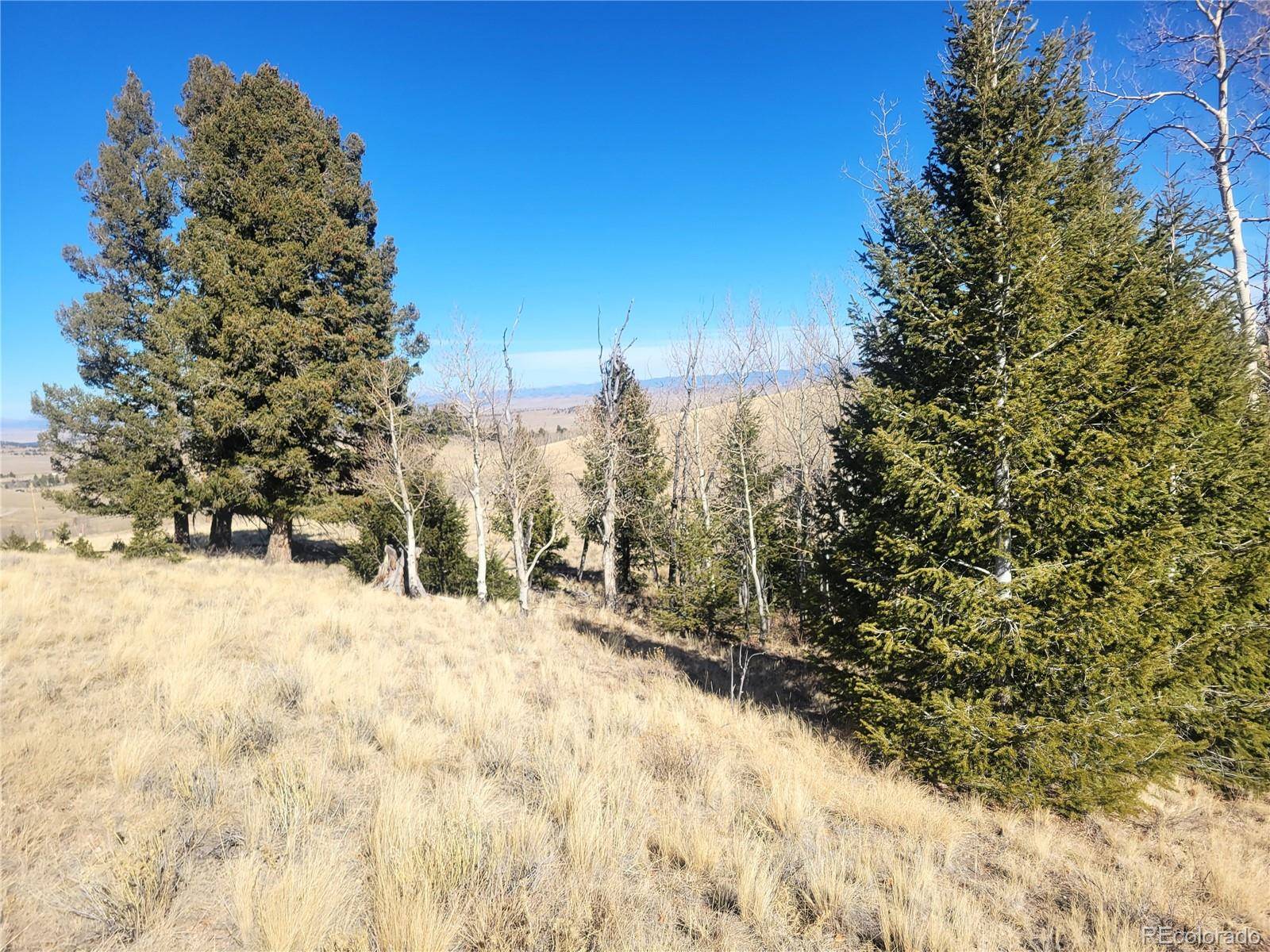 8802 Ranch RD, Hartsel, CO 80449