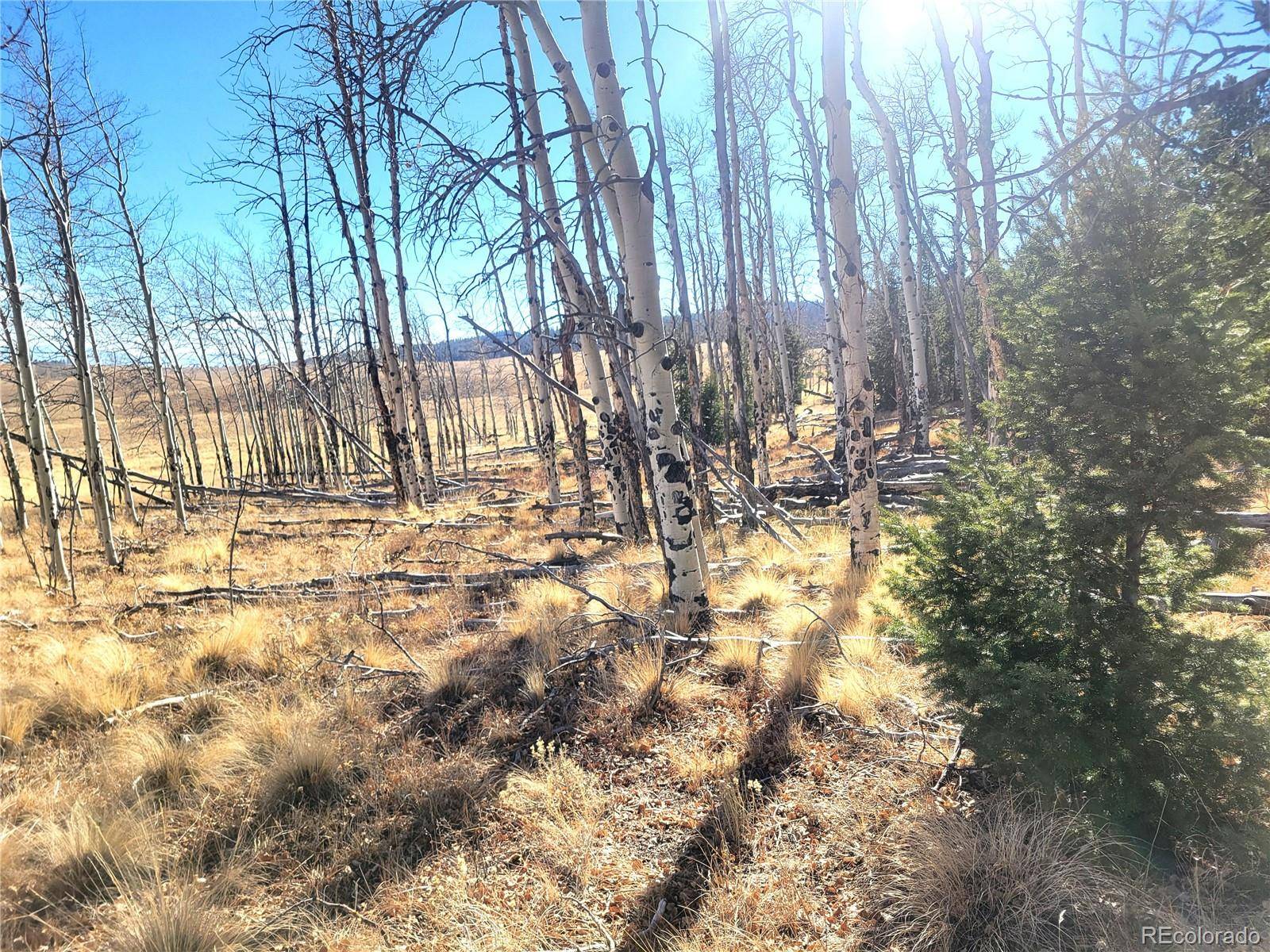 8802 Ranch RD, Hartsel, CO 80449