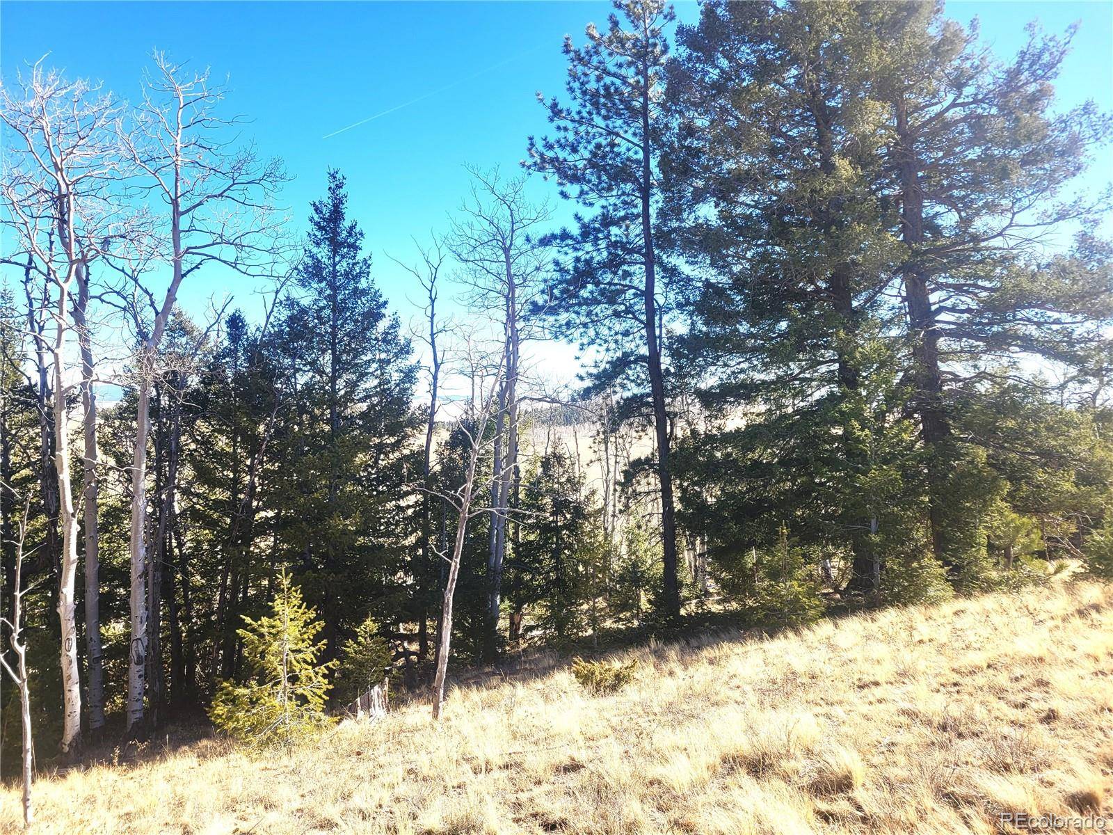 8802 Ranch RD, Hartsel, CO 80449
