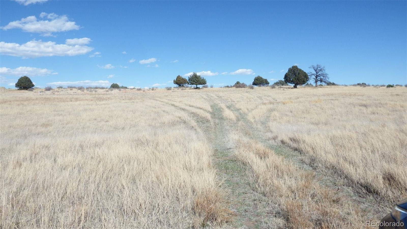 35584 Comanche Creek RD, Kiowa, CO 80117