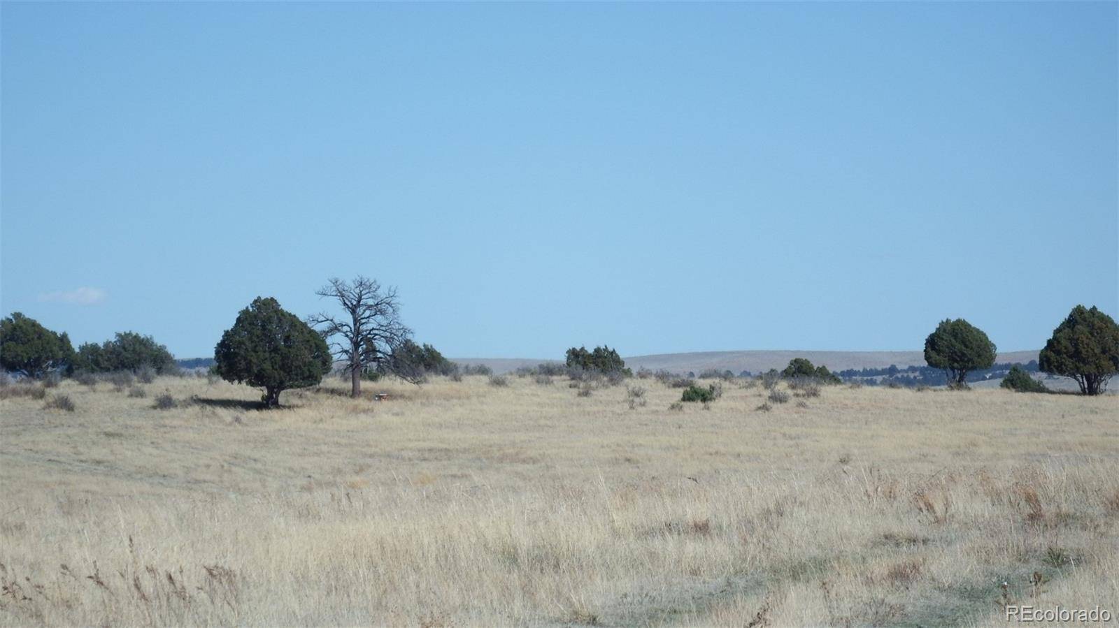 35584 Comanche Creek RD, Kiowa, CO 80117