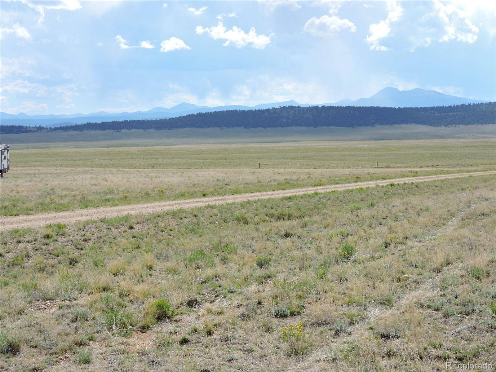 173 Routt RD, Hartsel, CO 80449