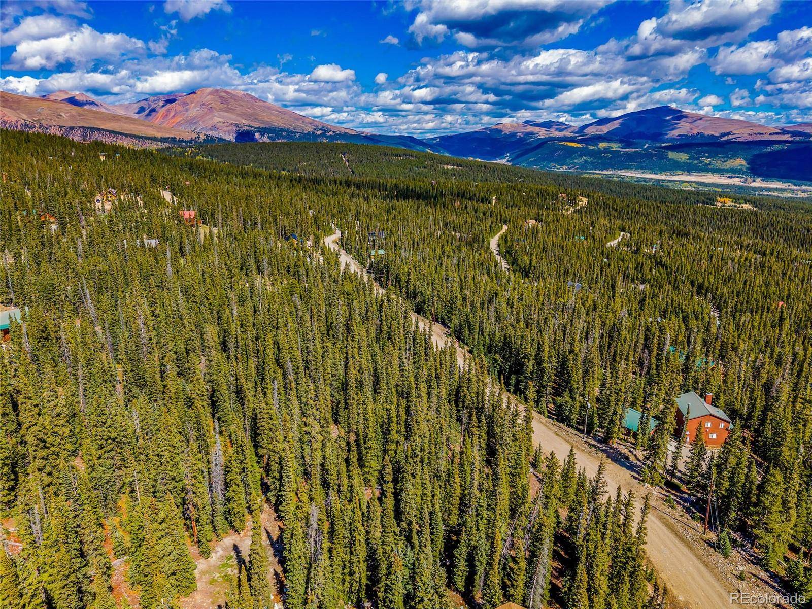 245 El Lobo LN, Fairplay, CO 80440