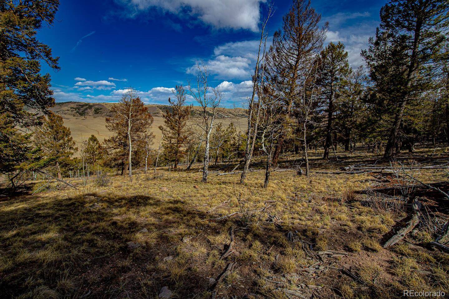 5302 Middle Fork VIS, Fairplay, CO 80440