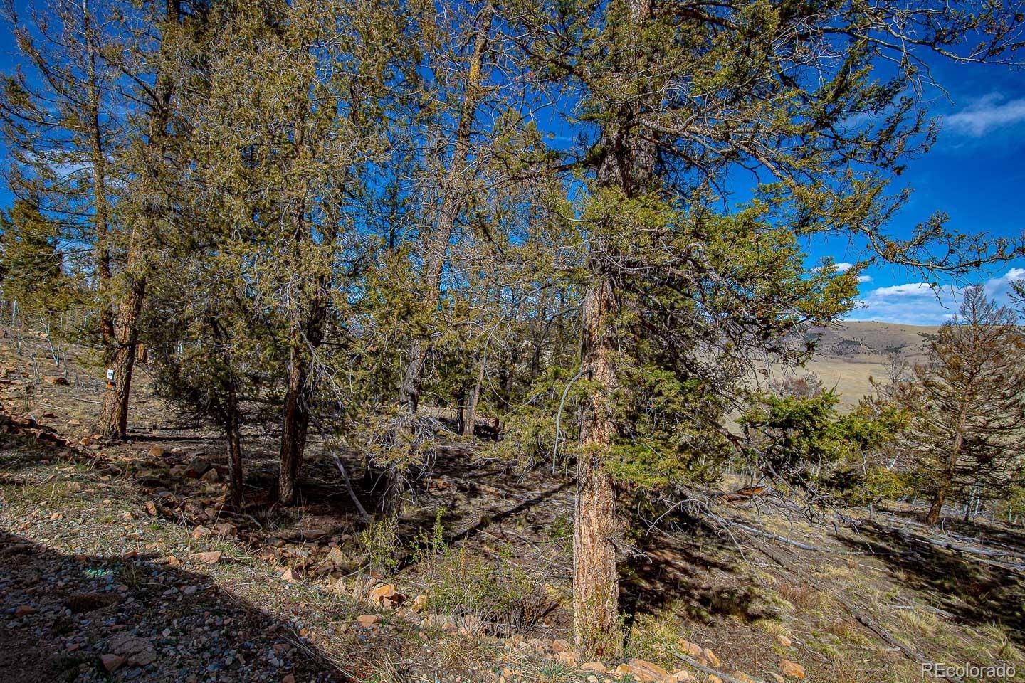 5302 Middle Fork VIS, Fairplay, CO 80440