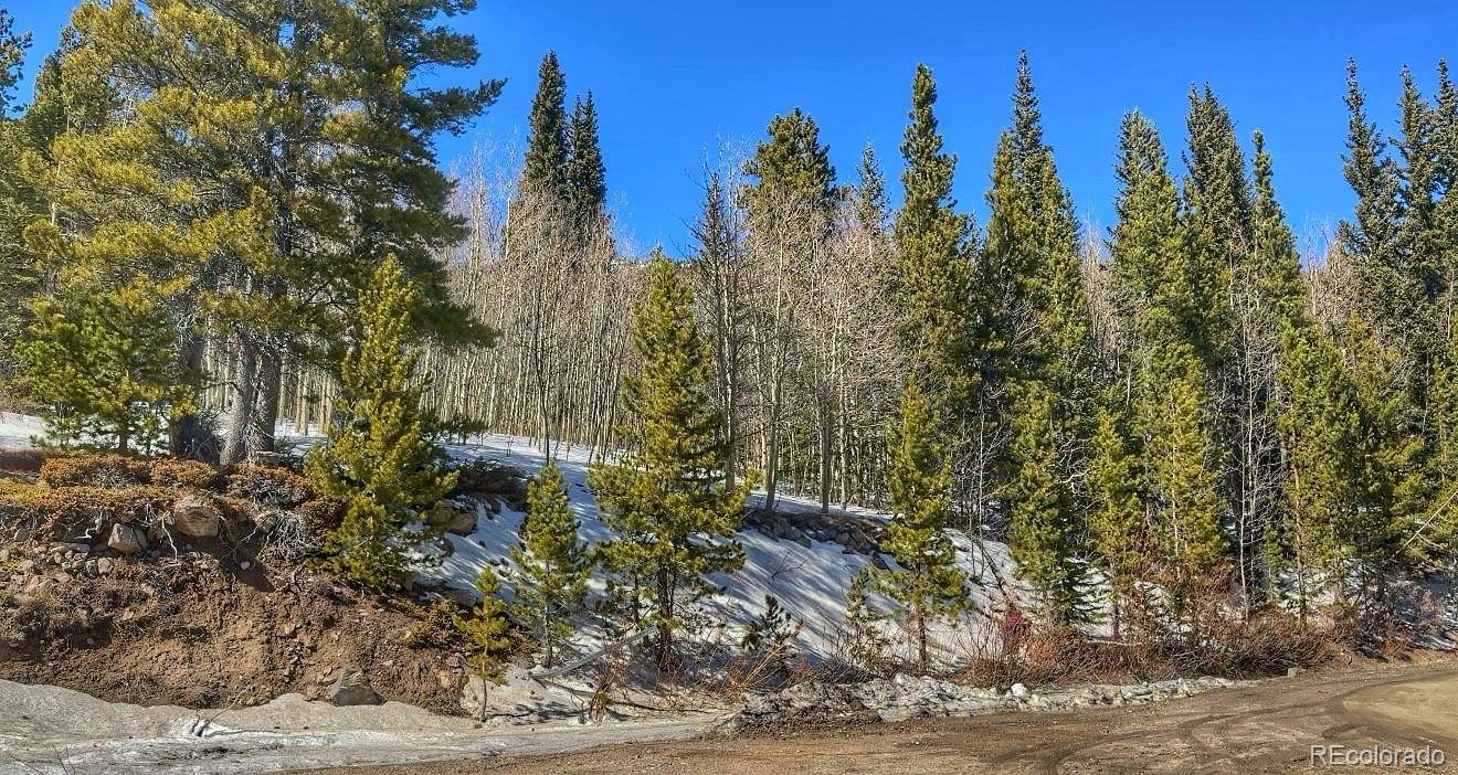 39 Glory Hole RD, Idaho Springs, CO 80452