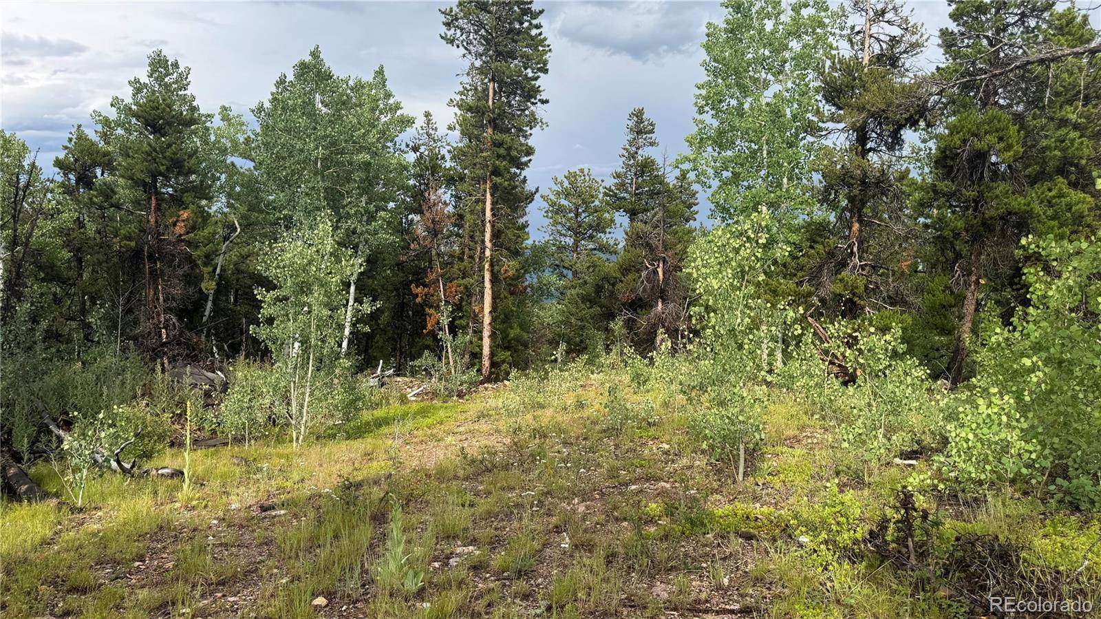 001 Church Placer RD, Central City, CO 80427