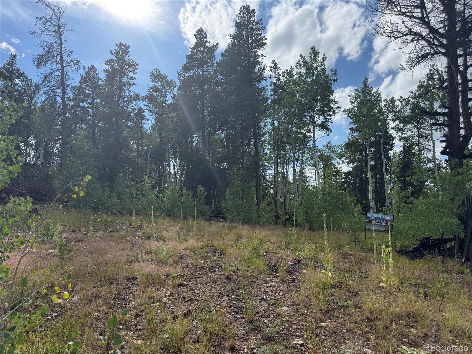 001 Church Placer RD, Central City, CO 80427