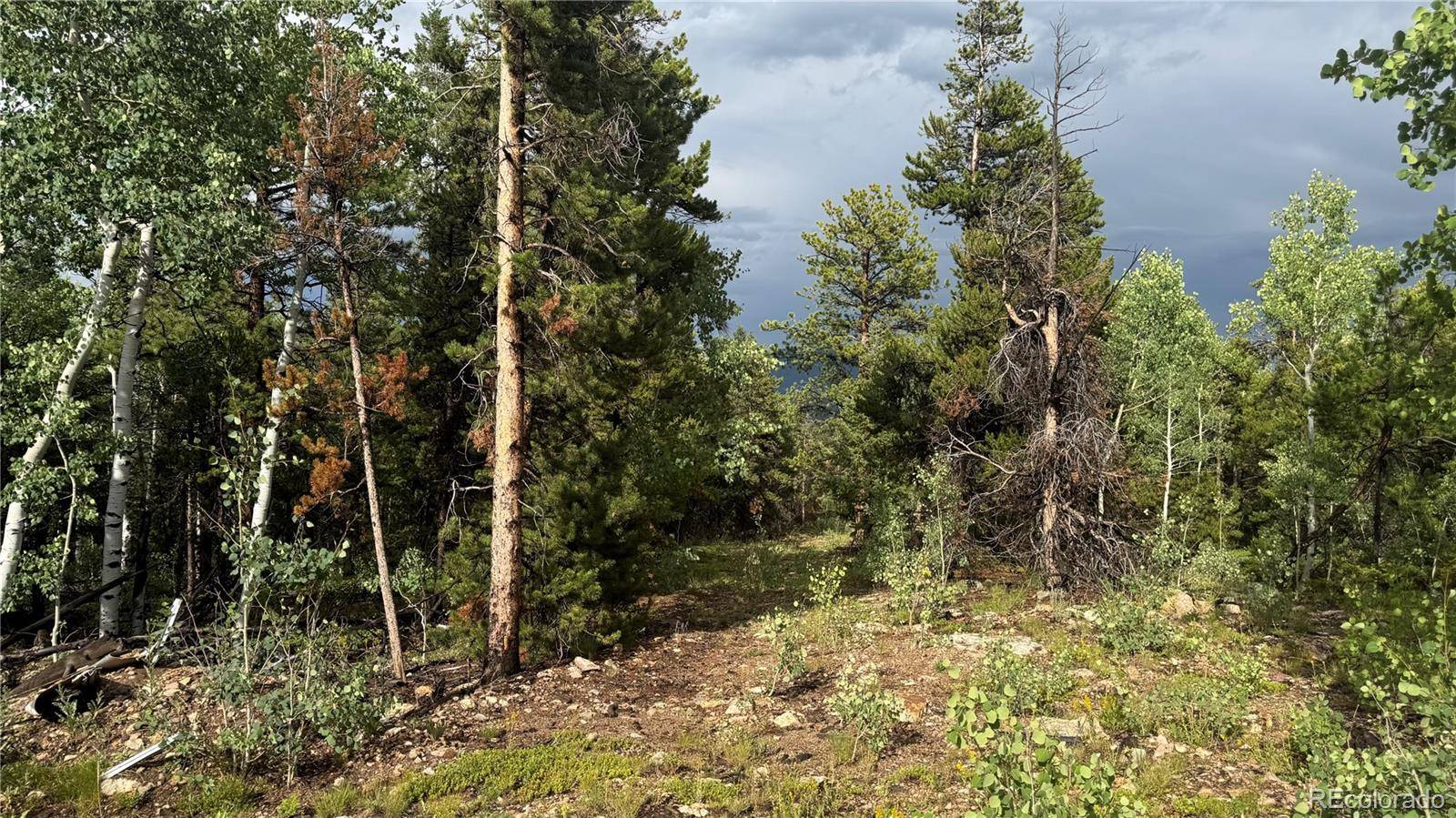 001 Church Placer RD, Central City, CO 80427