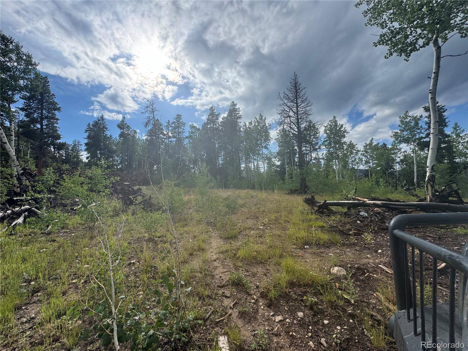 001 Church Placer RD, Central City, CO 80427