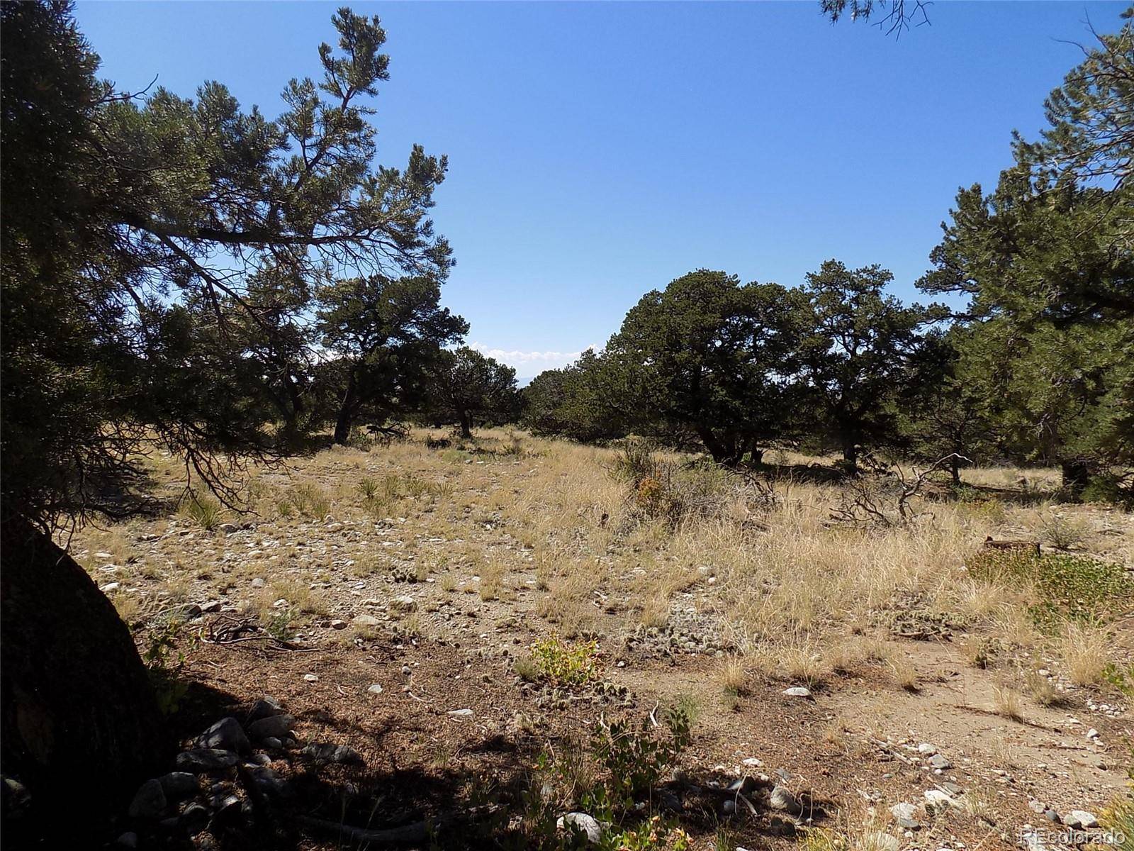 Mill Run RD, Mosca, CO 81146
