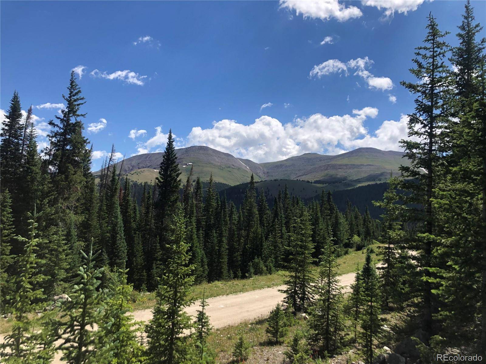 321 CR 805, Breckenridge, CO 80424