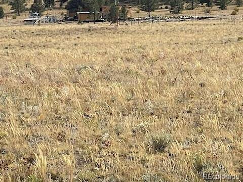 Black Beaver TRL, Hartsel, CO 80449