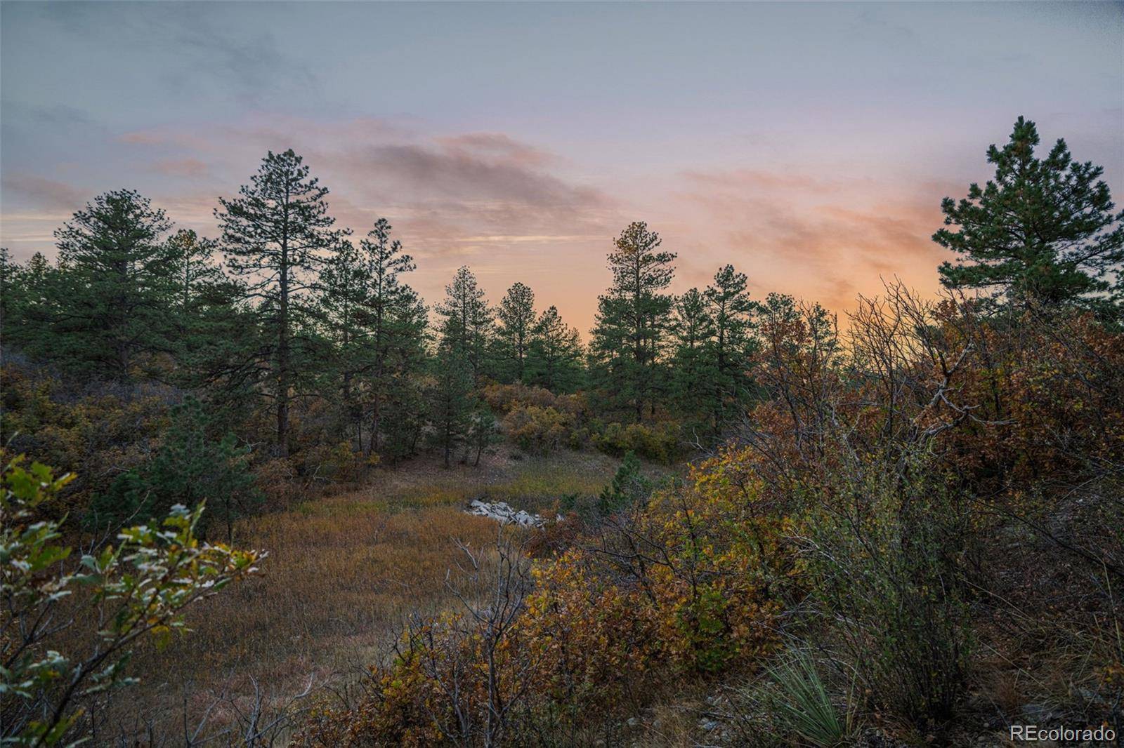11011 Sunset Oaks PL, Franktown, CO 80116