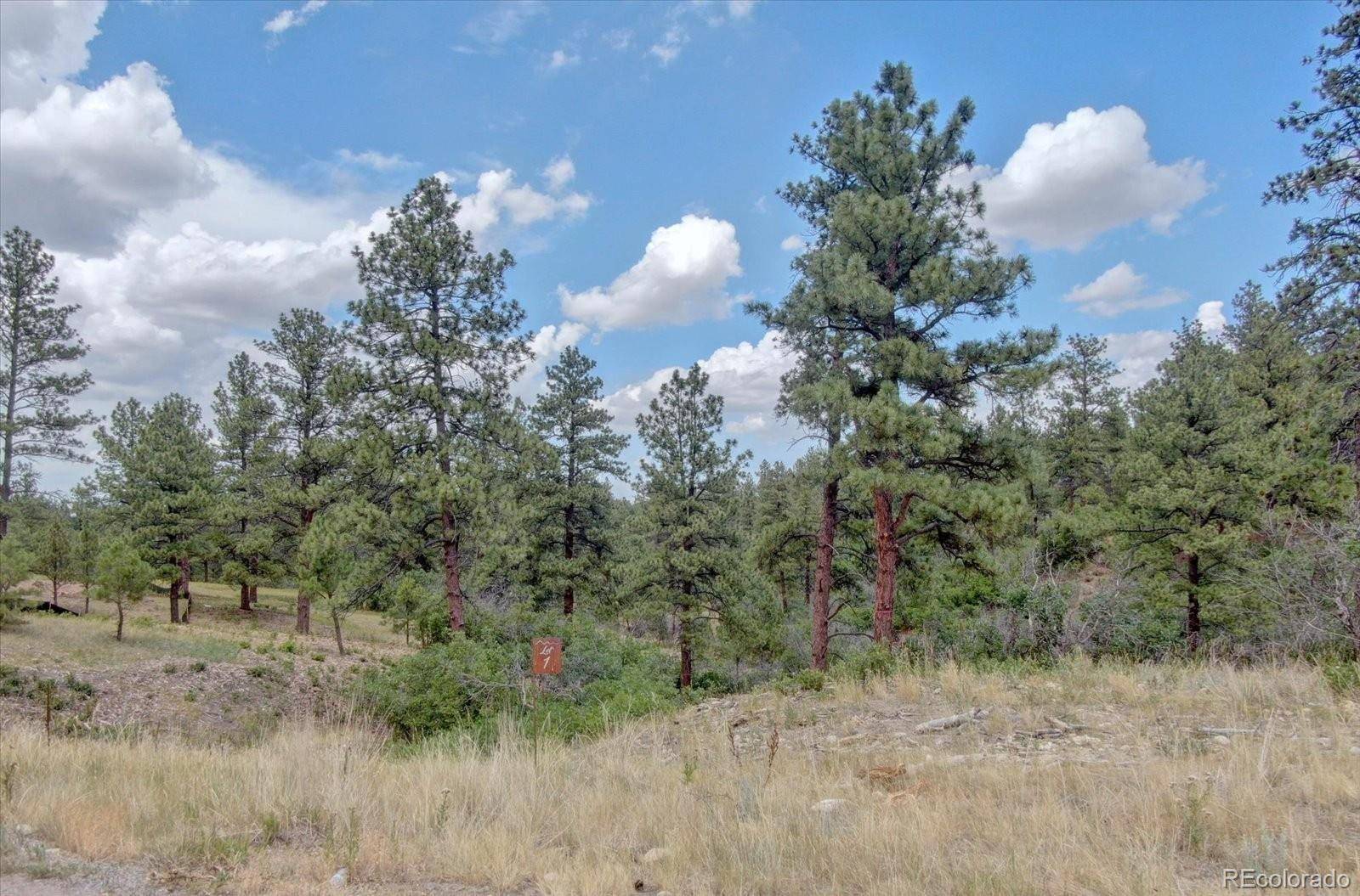 11011 Sunset Oaks PL, Franktown, CO 80116