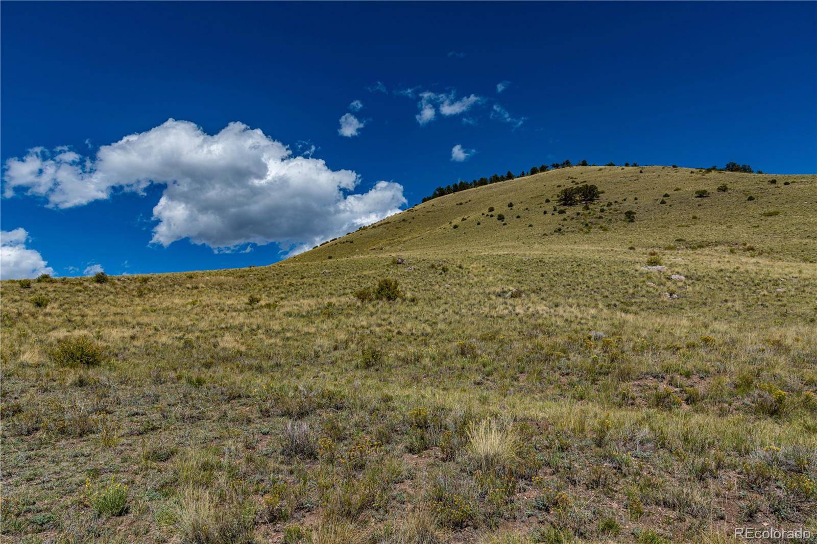 340 Huntley PL, Cotopaxi, CO 81223