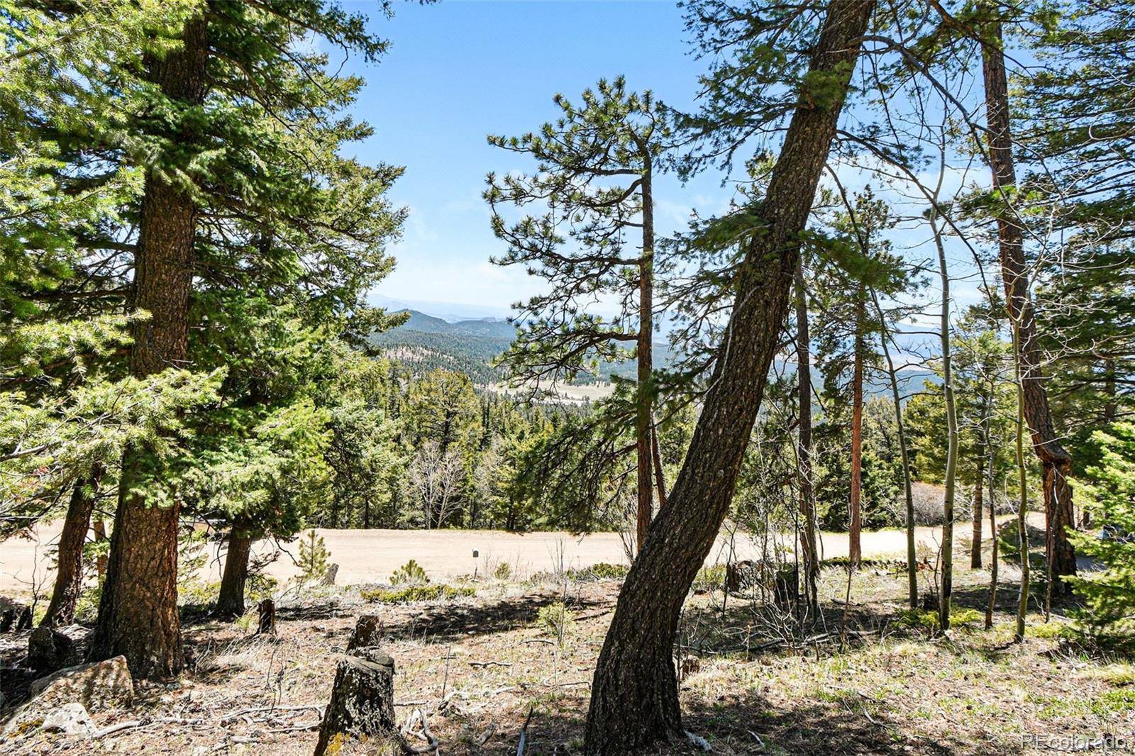 11618 Nichols WAY, Conifer, CO 80433