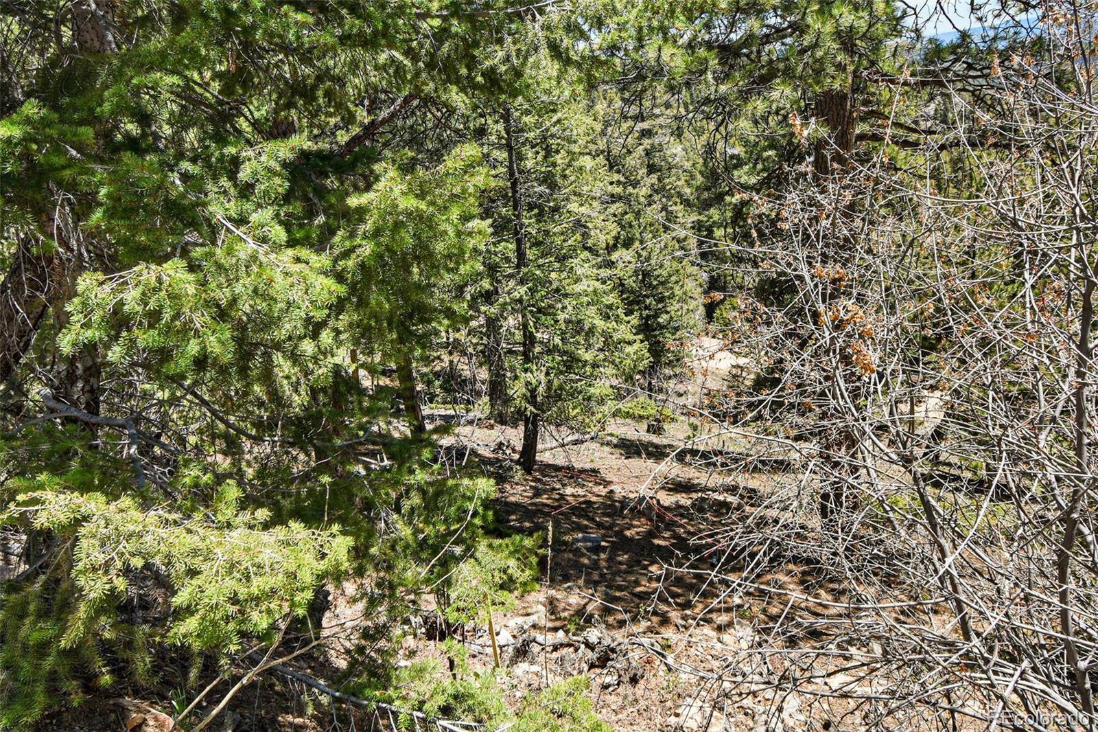 11618 Nichols WAY, Conifer, CO 80433