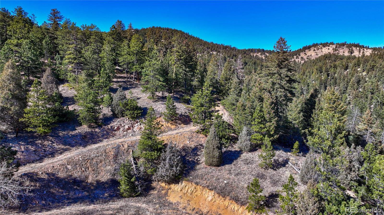 774 Cougar DR, Boulder, CO 80302