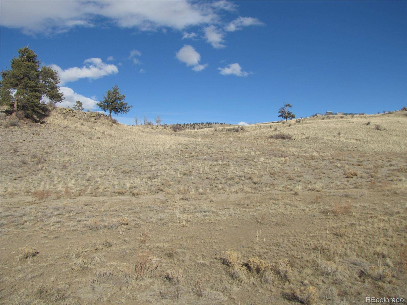 8808 County Road 53, Hartsel, CO 80449