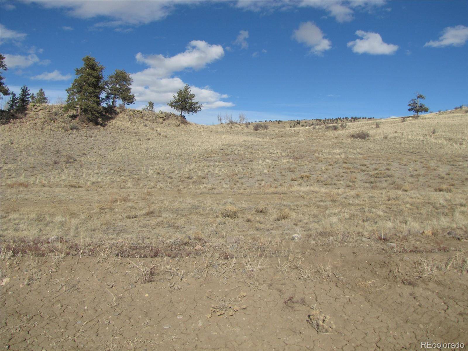 8808 County Road 53, Hartsel, CO 80449
