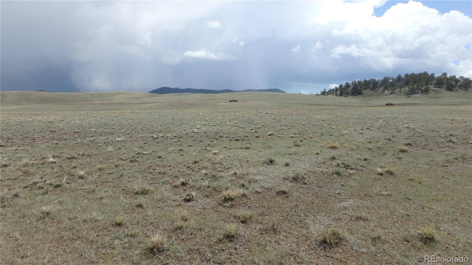 Delaware RD, Hartsel, CO 80449