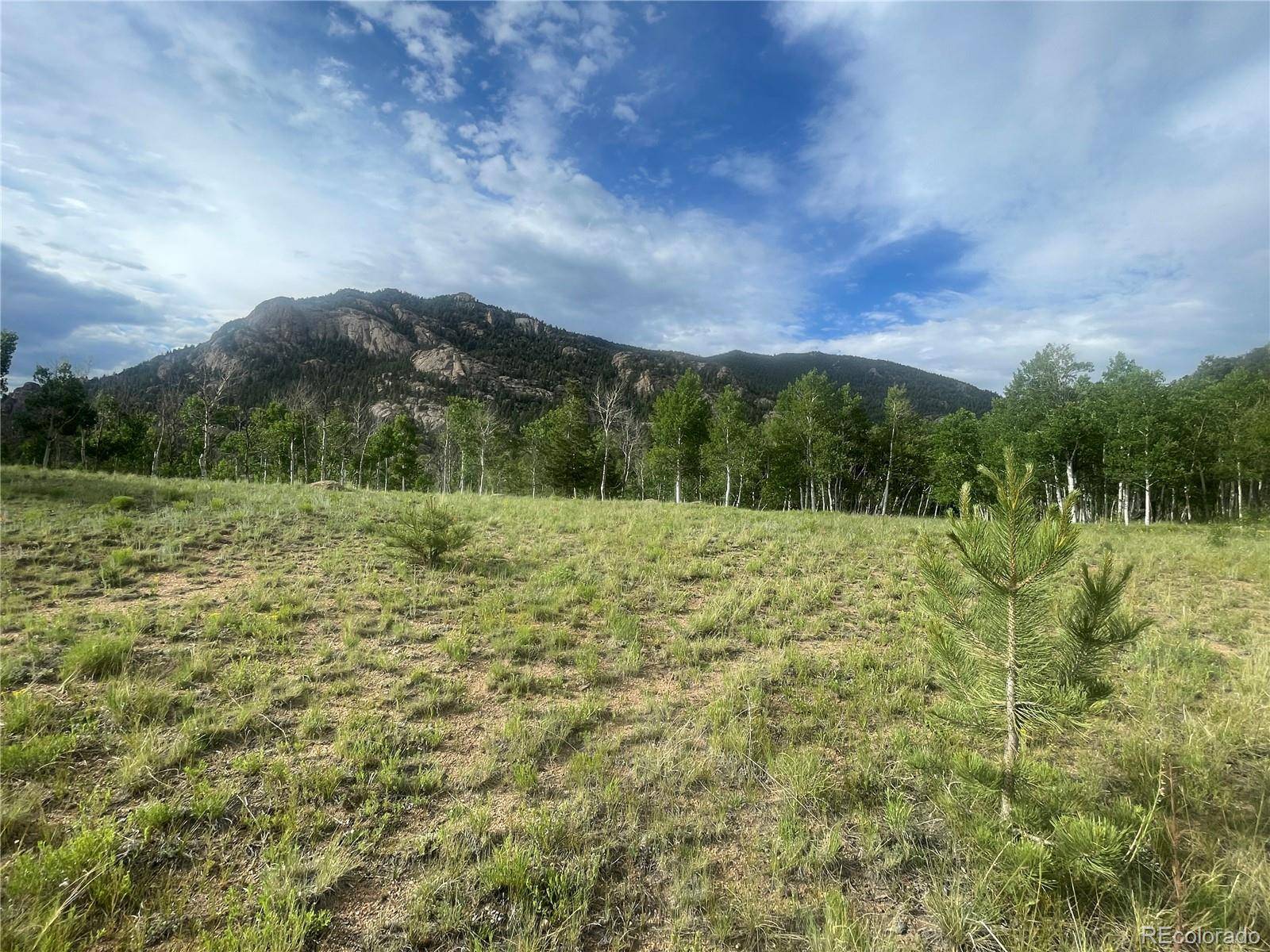 171 Emerald WAY, Lake George, CO 80827