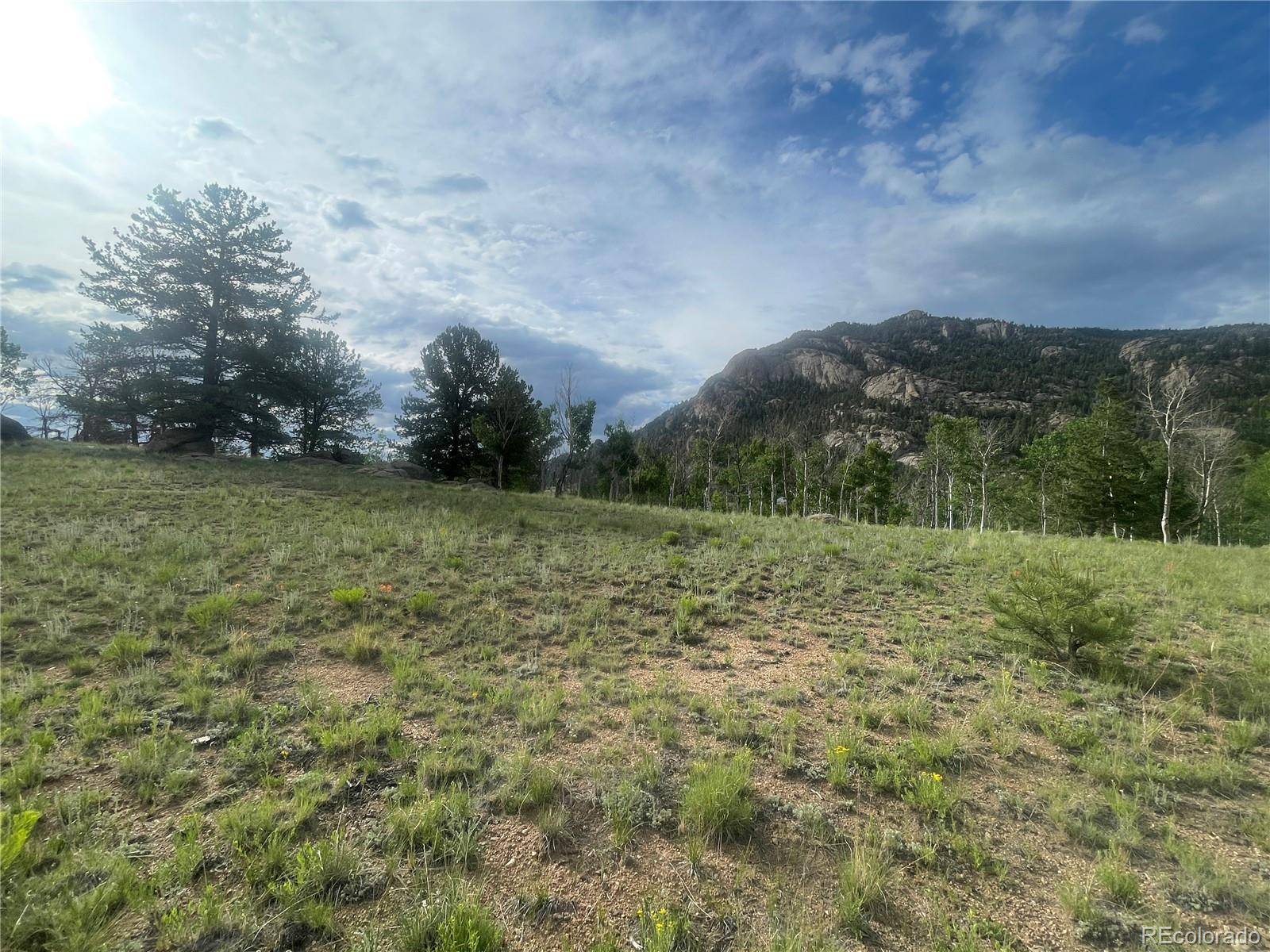 171 Emerald WAY, Lake George, CO 80827