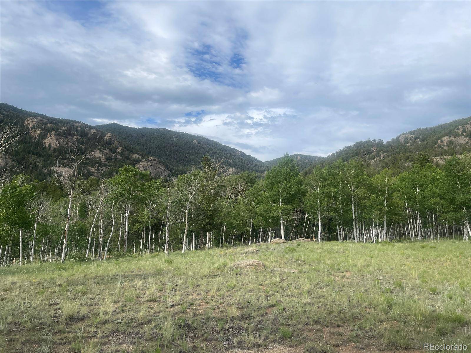 171 Emerald WAY, Lake George, CO 80827
