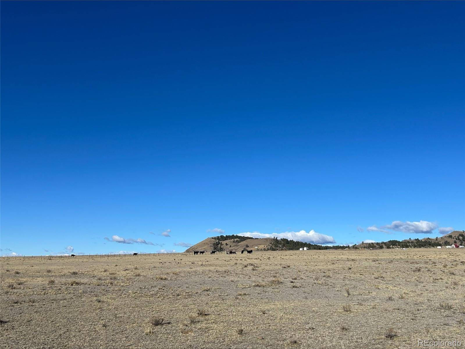 4558 Clear Creek RD, Hartsel, CO 80449