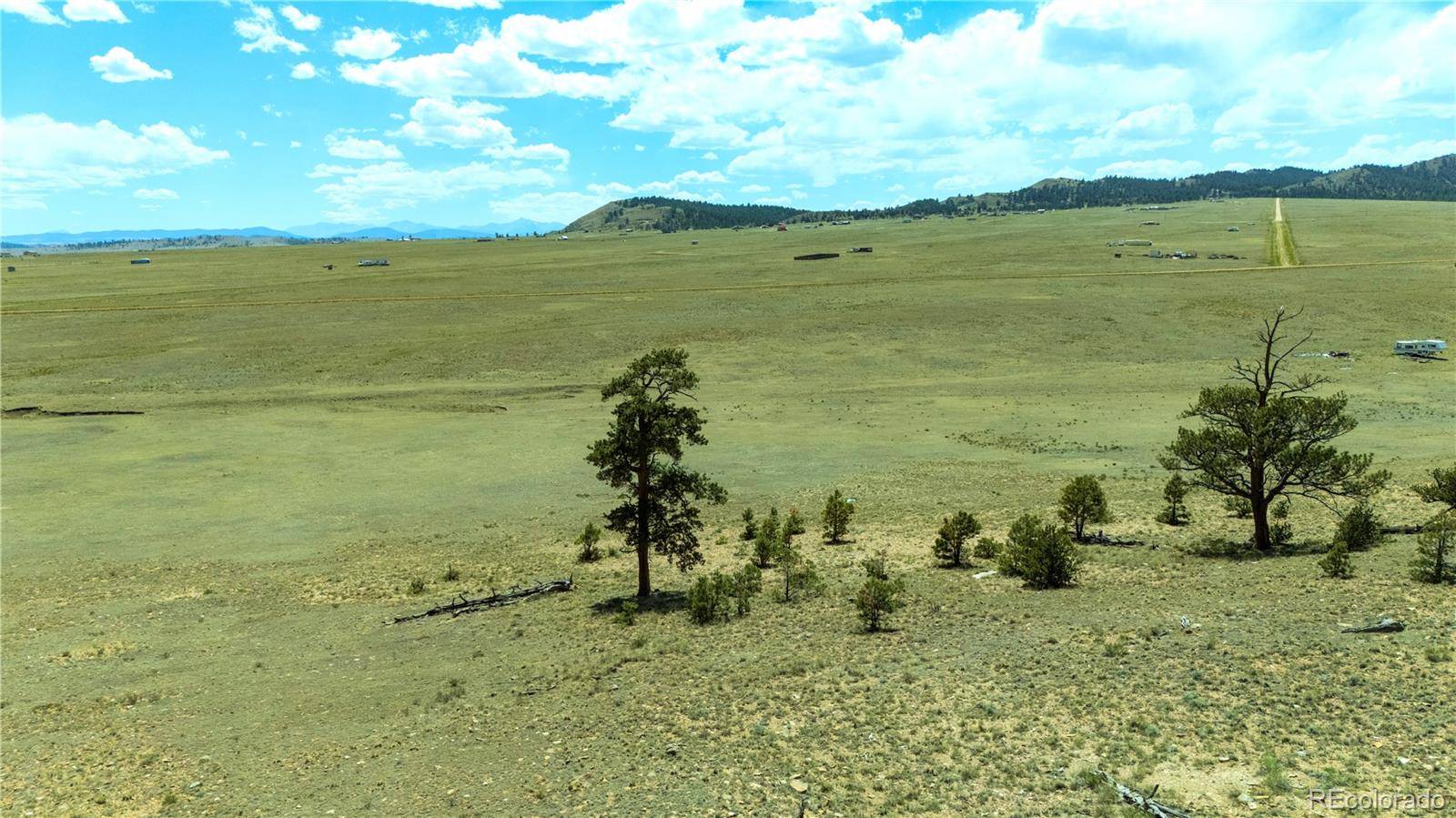 1408 Larimer DR, Hartsel, CO 80449