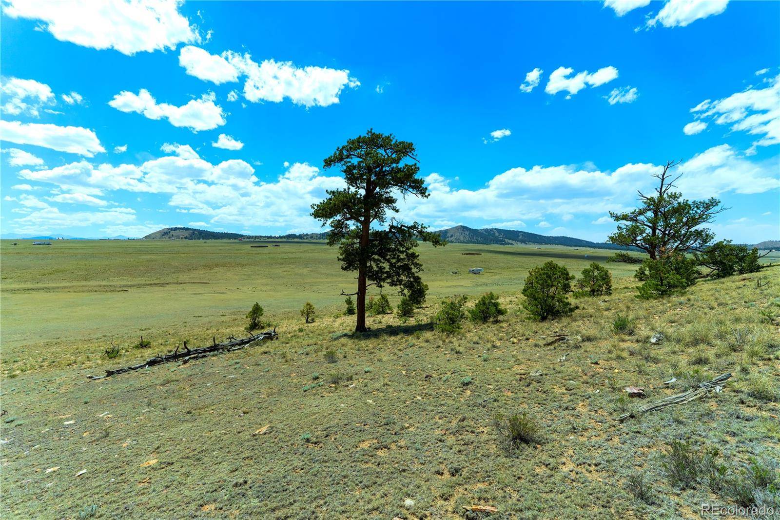 1408 Larimer DR, Hartsel, CO 80449