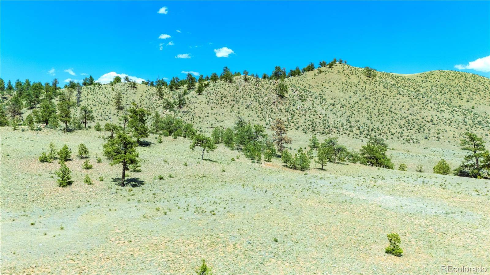 1408 Larimer DR, Hartsel, CO 80449