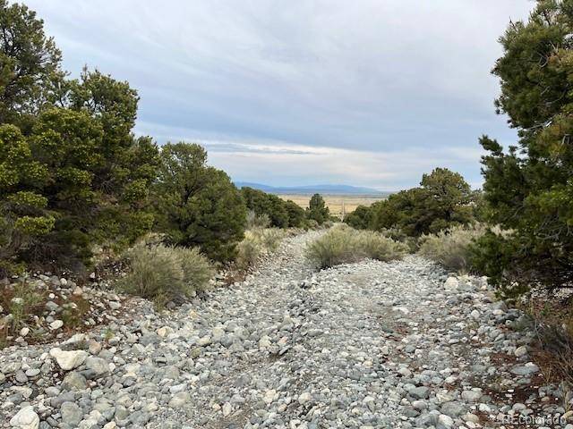 Lot 6 NN 18th ST, Blanca, CO 81123