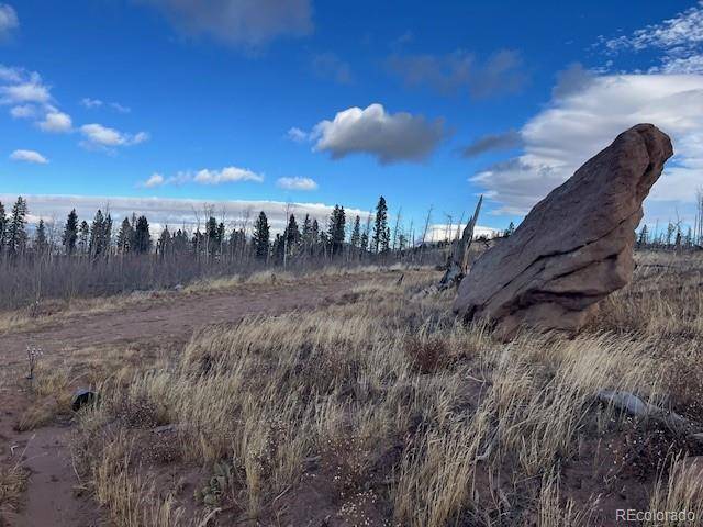 Lot 2544 Petito DR, Fort Garland, CO 81133