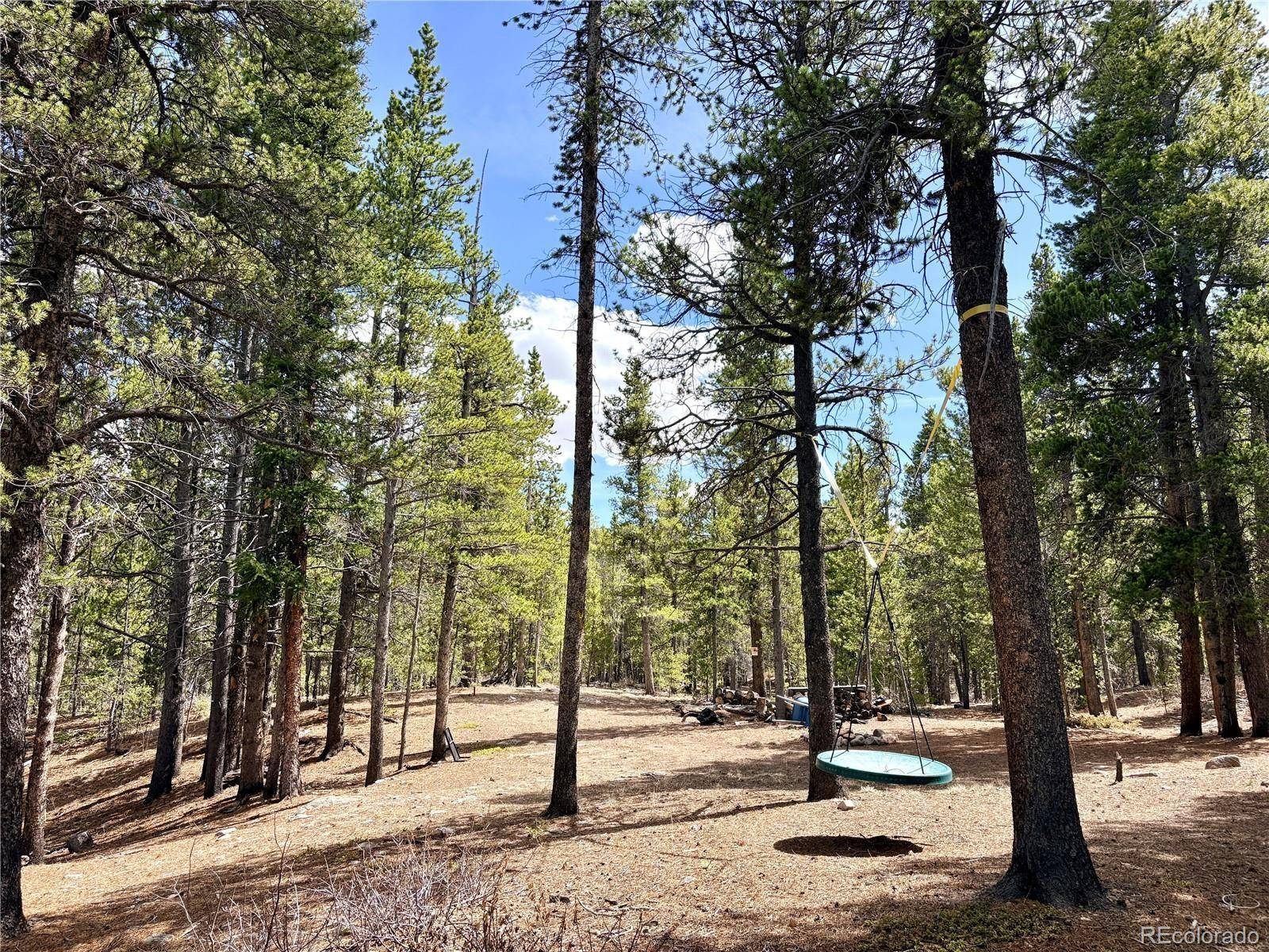 0 Georges WAY, Alma, CO 80420