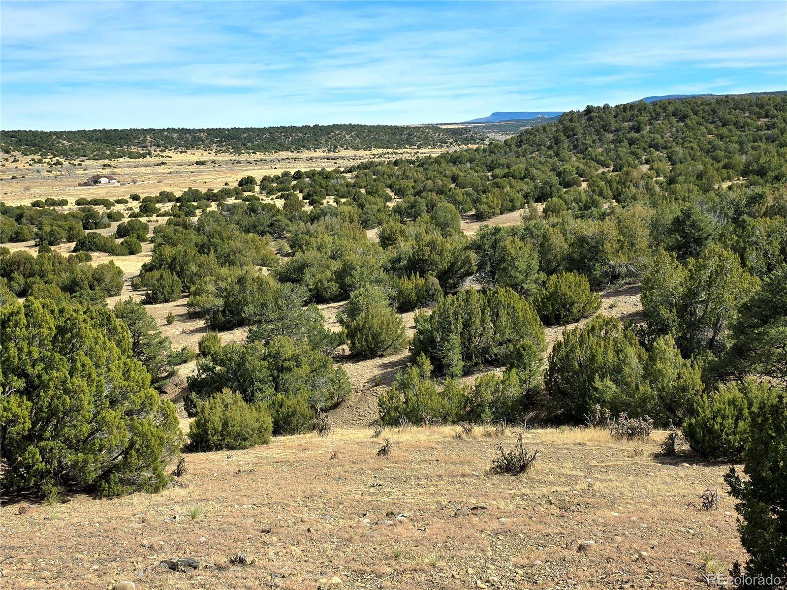 Lot 21 of 13565 Bat Masterson DR, Trinidad, CO 81082