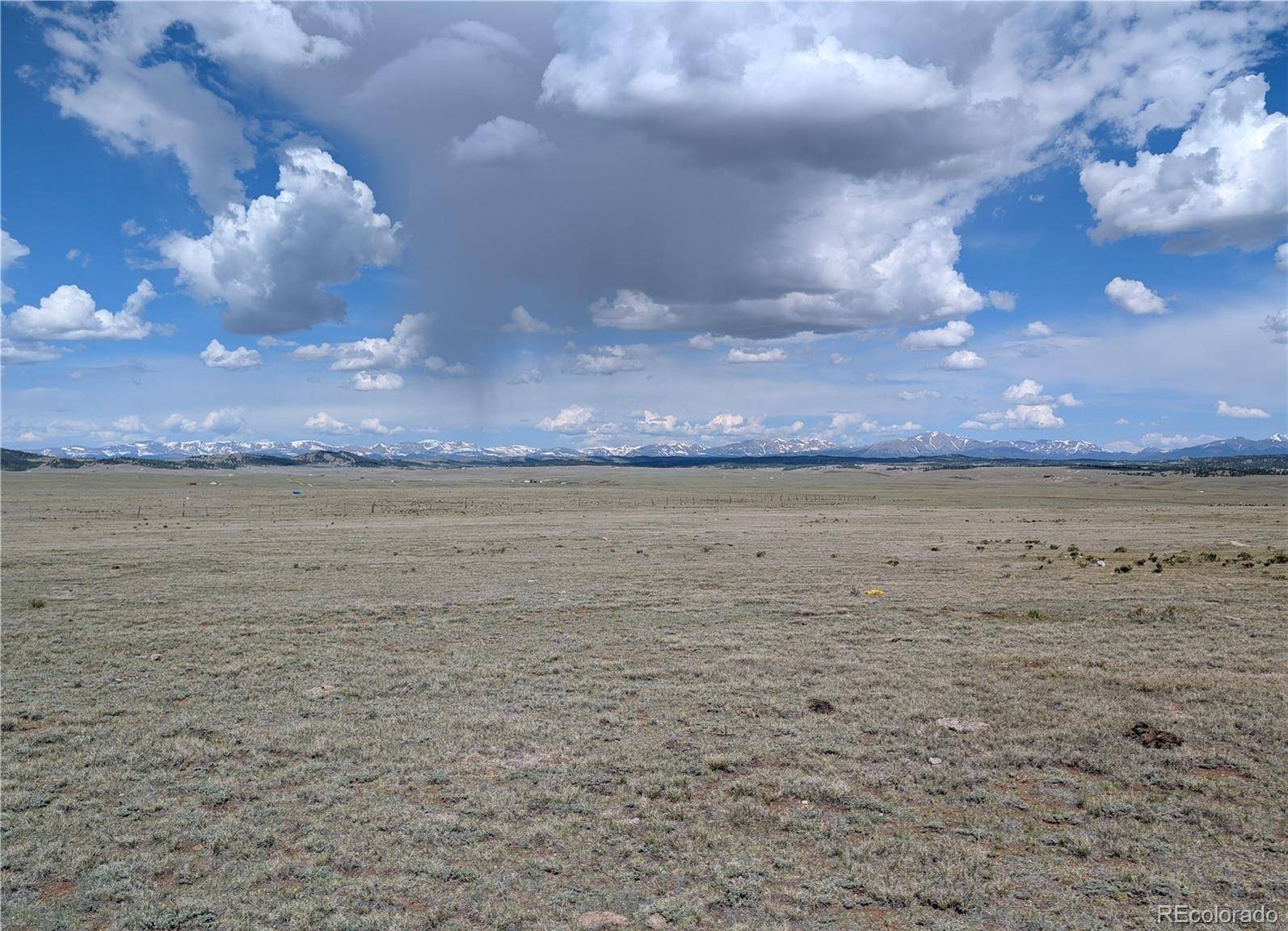 1920 Badger Basin RD, Hartsel, CO 80449