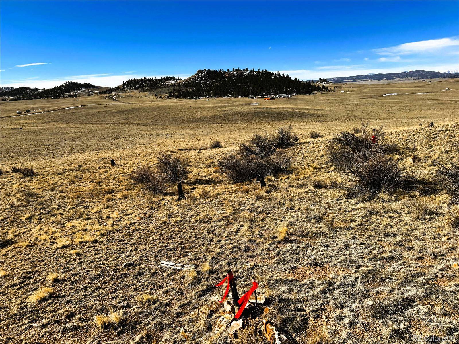492 Chickamauga TRL, Hartsel, CO 80449