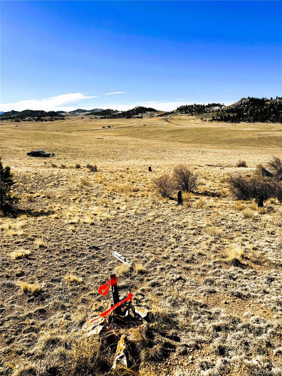492 Chickamauga TRL, Hartsel, CO 80449
