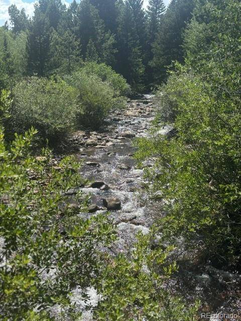 105 Caribou ST, Nederland, CO 80466