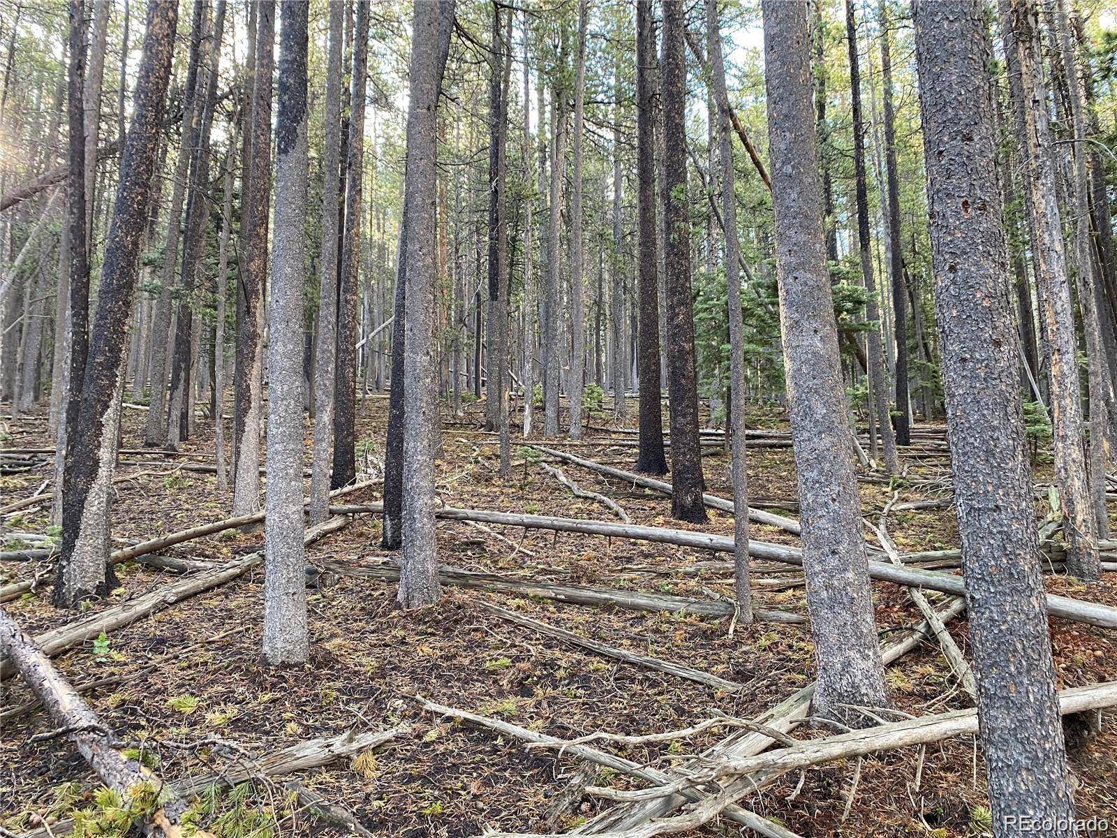 2687 Purnell LN, Fort Garland, CO 81133