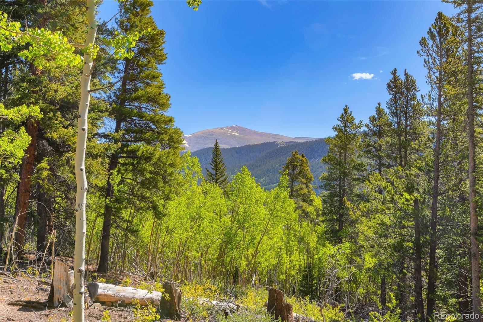 715 Lewsader RD, Alma, CO 80420