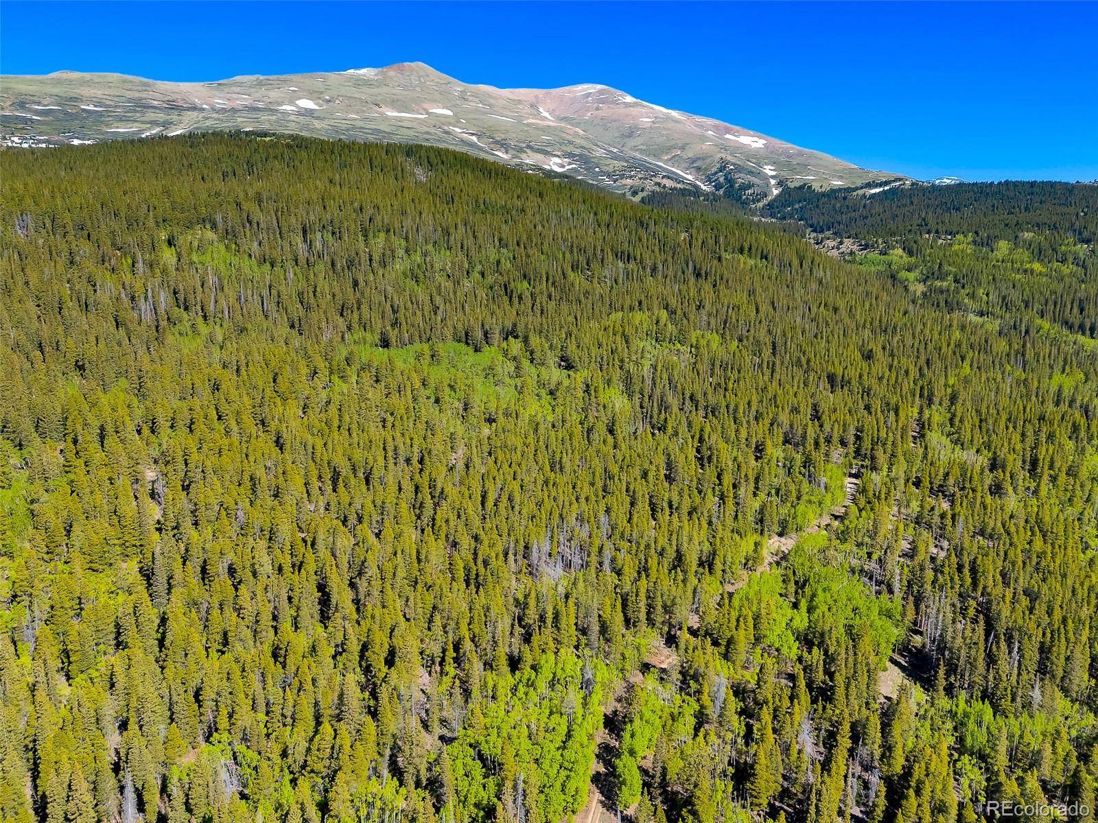 715 Lewsader RD, Alma, CO 80420